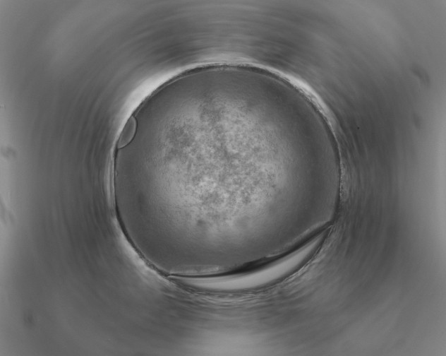 X0000090931295200708061556