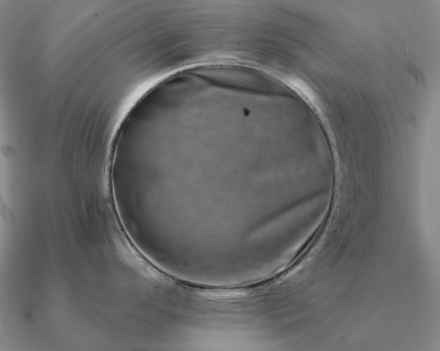 X0000090931296200708061556