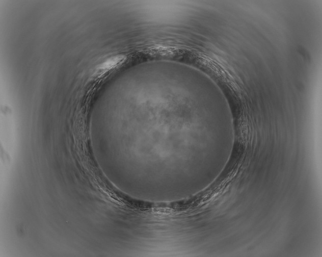 X0000090931297200708061555