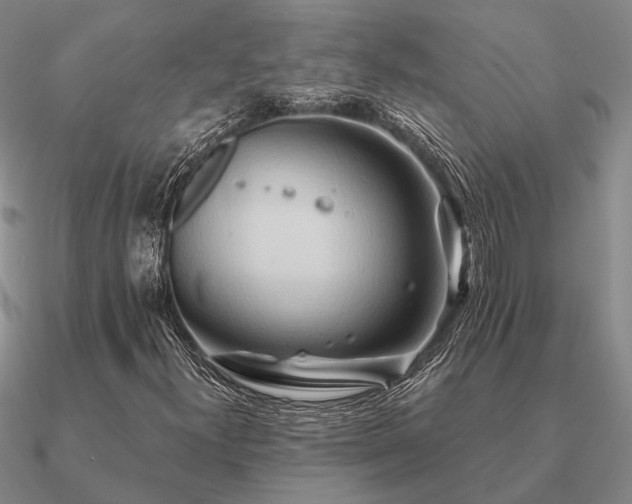 X0000090931300200708061555