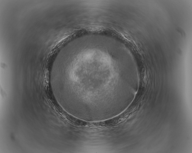 X0000090931301200708061555