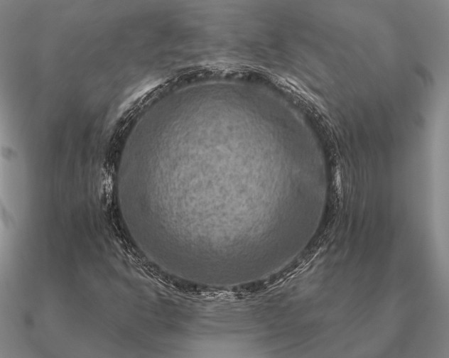 X0000090931302200708061555