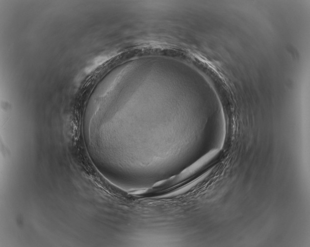 X0000090931303200708061555