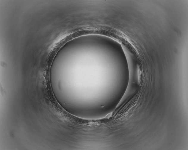 X0000090931304200708061555