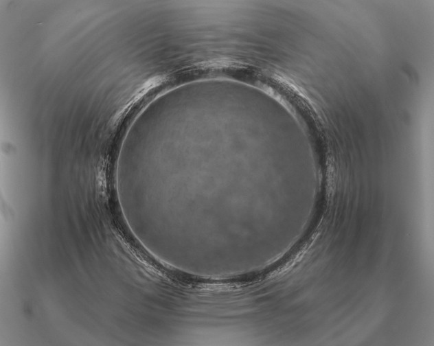 X0000090931305200708061555