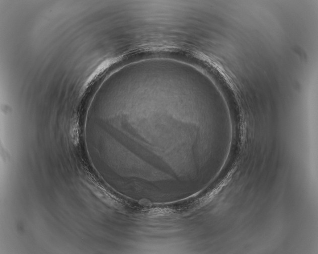 X0000090931306200708061555