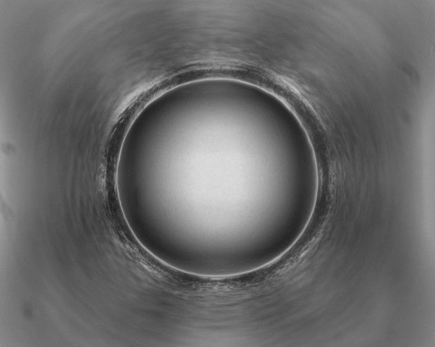X0000090931307200708061555