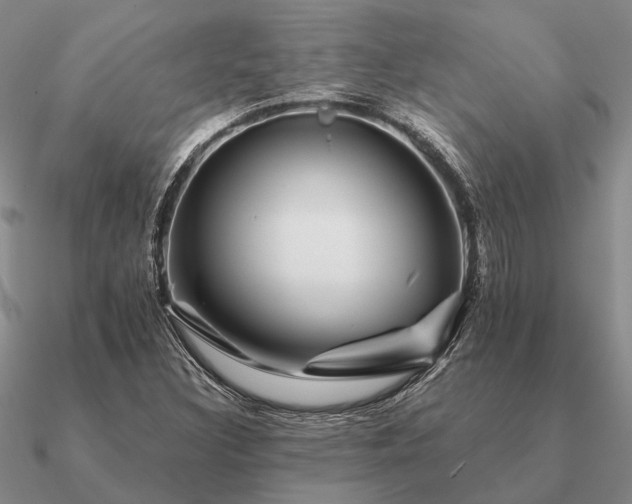 X0000090931308200708061555