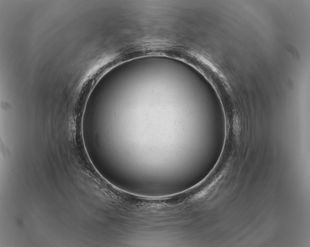 X0000090931309200708061555