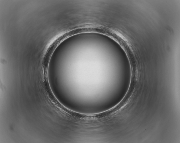 X0000090931310200708061555