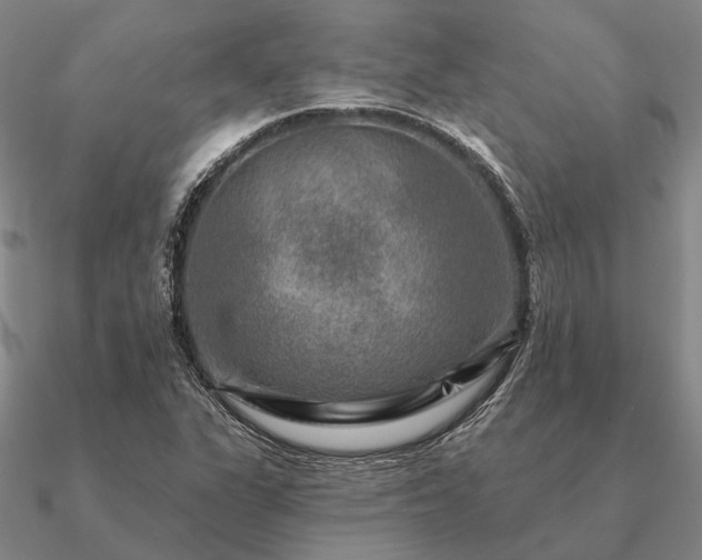 X0000090931311200708061555