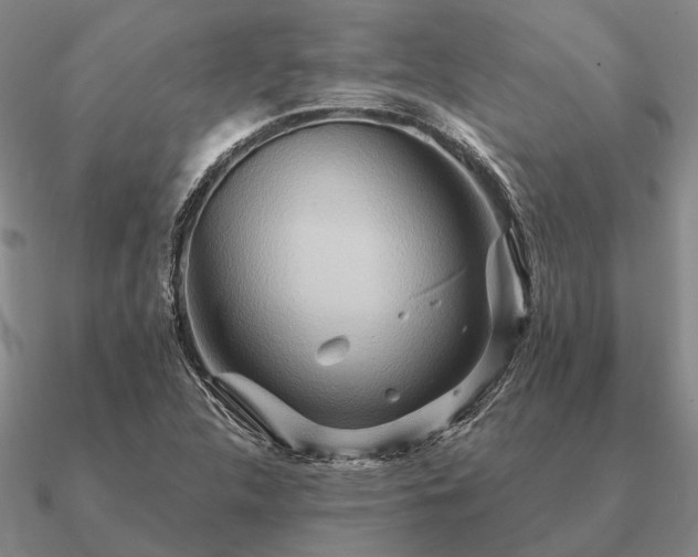 X0000090931312200708061555
