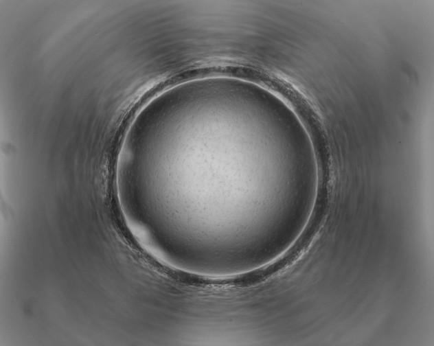 X0000090931313200708061555