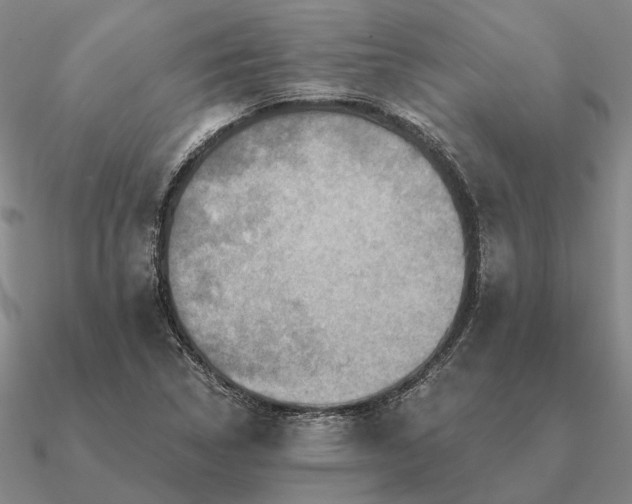 X0000090931314200708061555