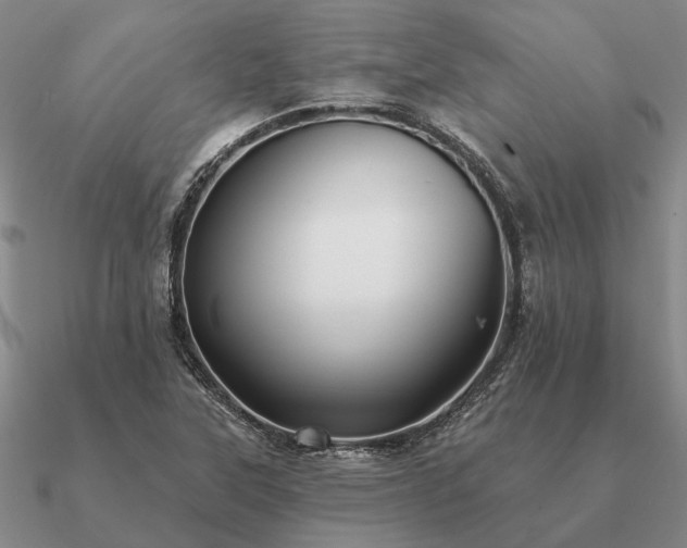 X0000090931315200708061555