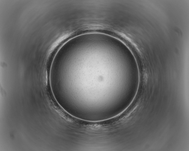 X0000090931317200708061555