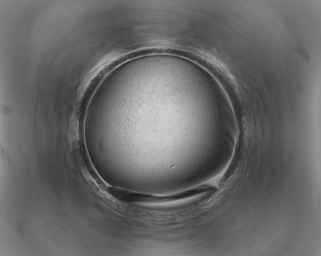 X0000090931318200708061555