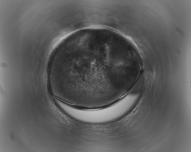 X0000090931319200708061555