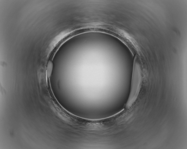 X0000090931320200708061555