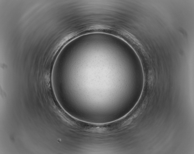 X0000090931321200708061555