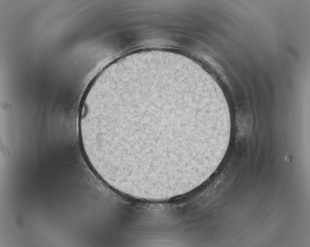 X0000090931322200708061555