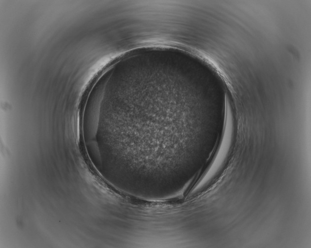 X0000090931323200708061555