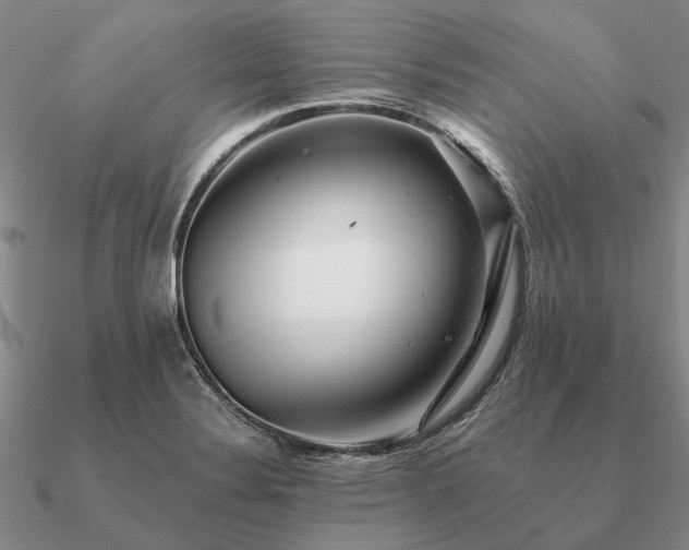X0000090931324200708061555