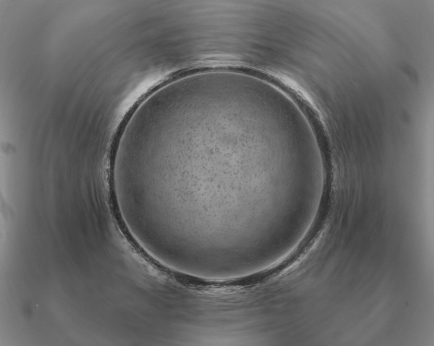 X0000090931325200708061555