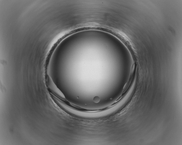 X0000090931326200708061555
