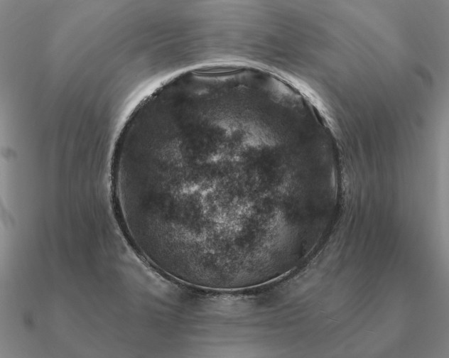 X0000090931327200708061556
