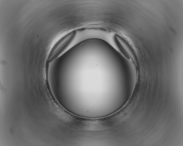 X0000090931328200708061556