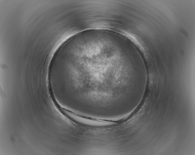 X0000090931331200708061556