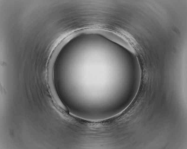 X0000090931332200708061556