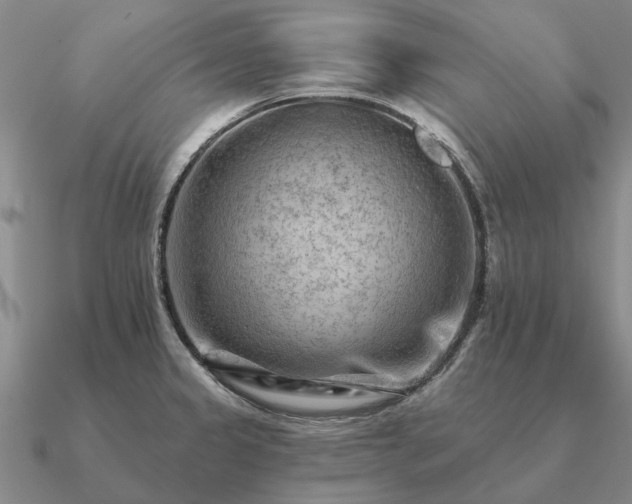 X0000090931333200708061556