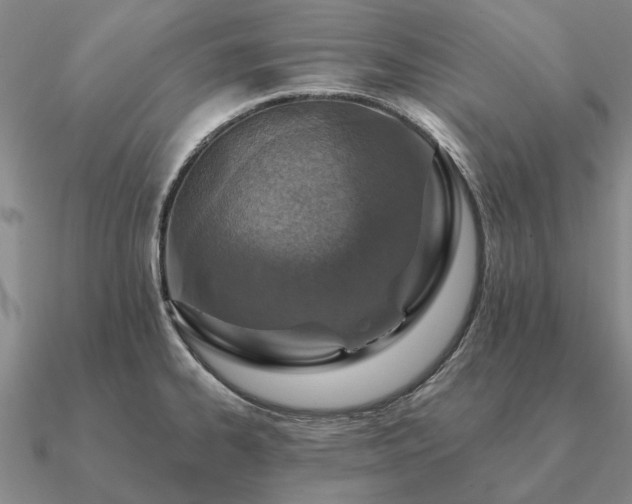 X0000090931334200708061556