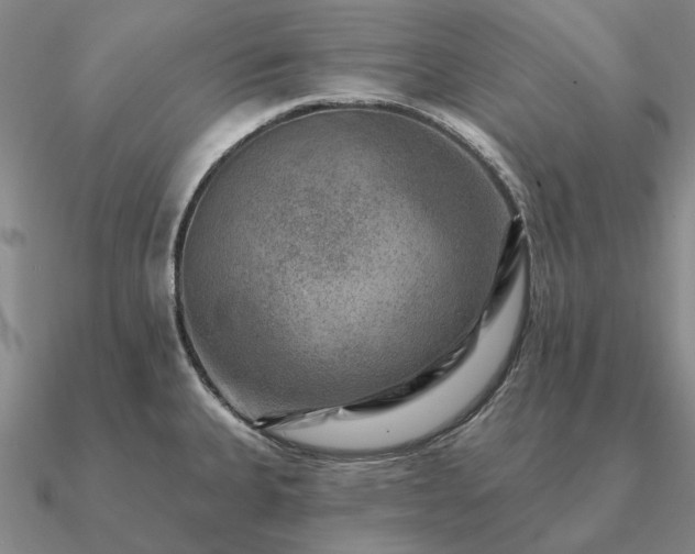 X0000090931335200708061556