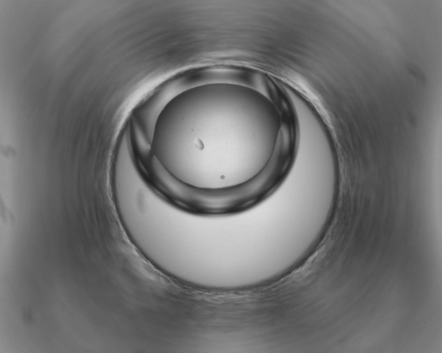 X0000090931336200708061556
