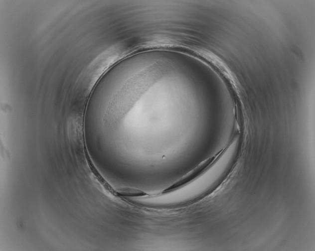 X0000090931337200708061556