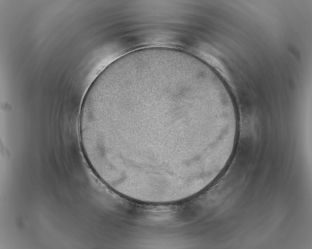 X0000090931338200708061556
