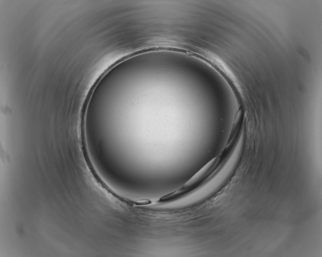 X0000090931339200708061556