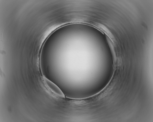 X0000090931340200708061556