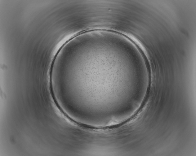 X0000090931341200708061556