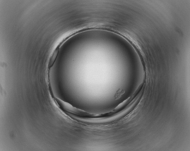 X0000090931342200708061556