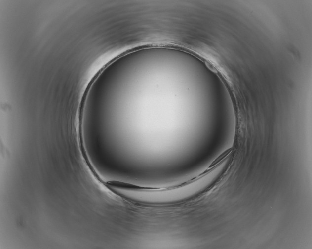 X0000090931343200708061556
