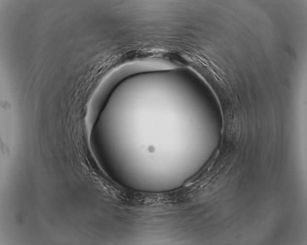 X0000090931345200708061555