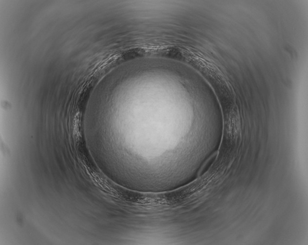 X0000090931346200708061555