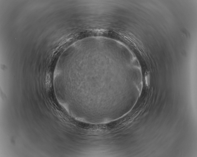 X0000090931347200708061555