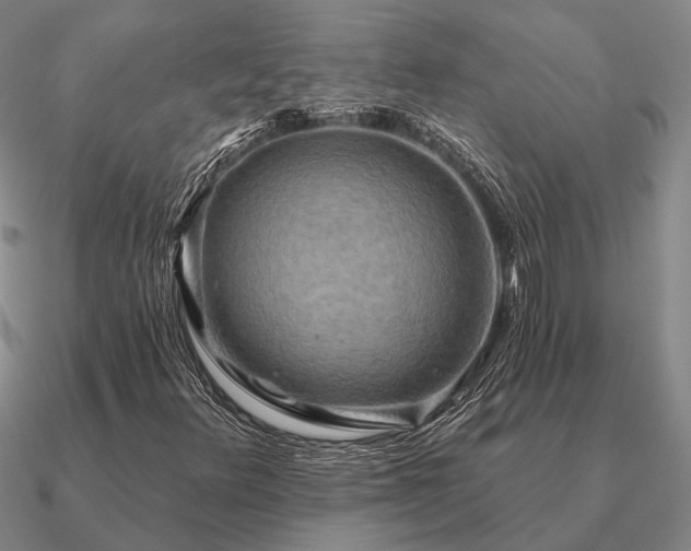 X0000090931348200708061555