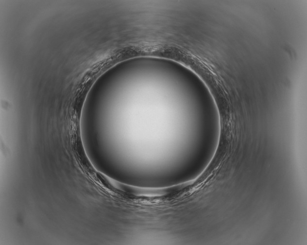 X0000090931349200708061555