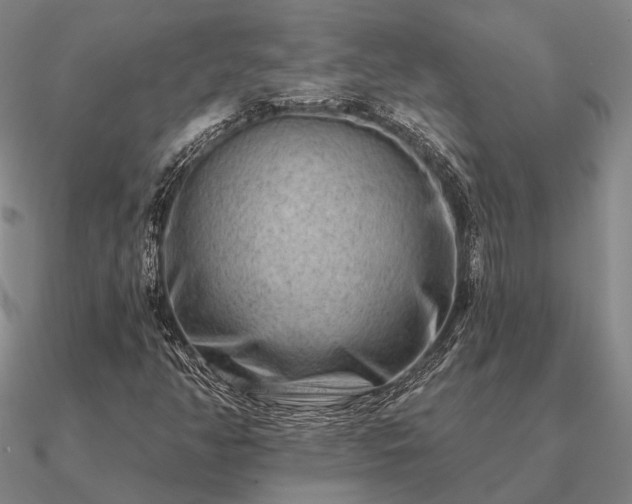 X0000090931350200708061555